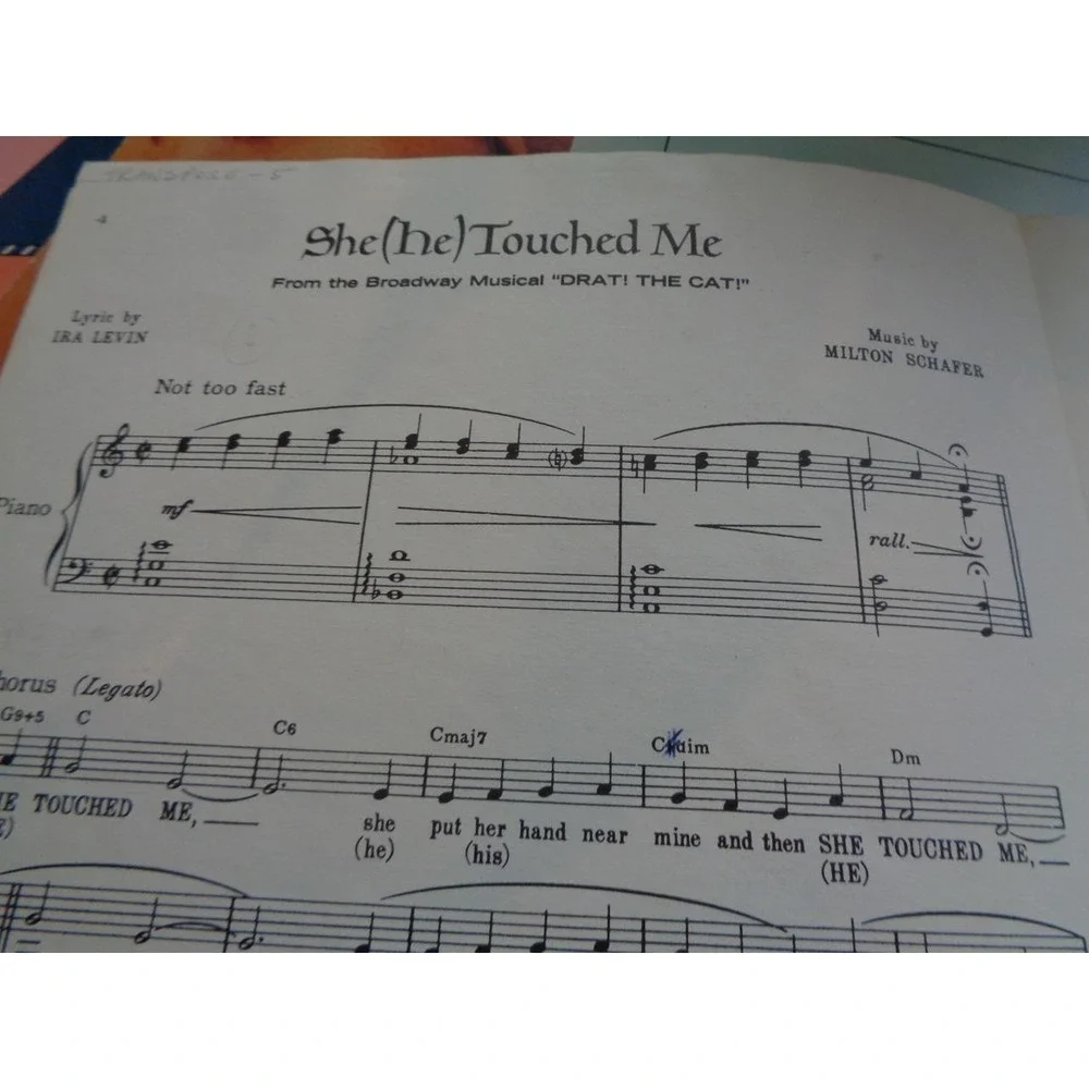 DRAT THE CAT SHE (HE) TOUCHED ME Guitar Vocal Piano Sheet Music